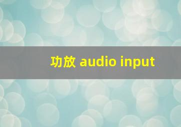 功放 audio input